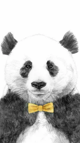 Панда Обои на телефон панда в галстуке-бабочке