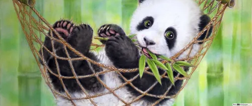 Панда Обои на телефон панда на дереве