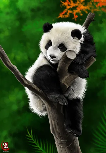 Панда Обои на телефон панда, держащая ветку