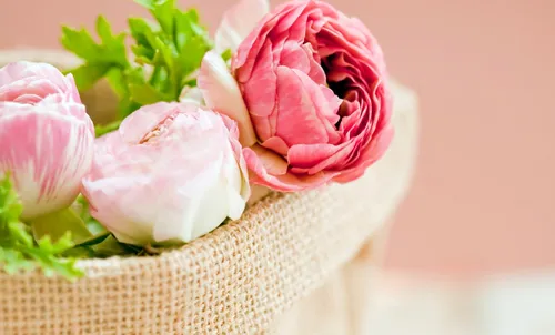 Цветы Пионы Обои на телефон корзина розовых роз