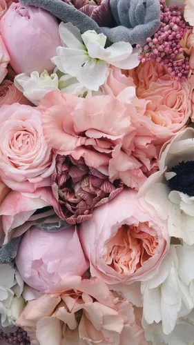 Цветы Пионы Обои на телефон куча розовых и белых цветов