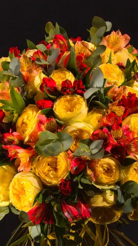 Цветы Пионы Обои на телефон букет разноцветных цветов