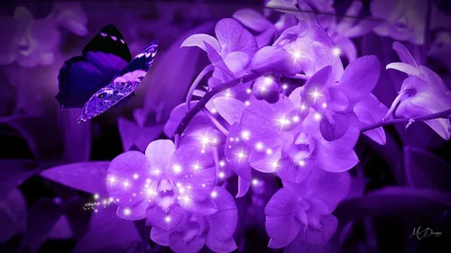 Орхидея Обои на телефон группа бабочек на фиолетовом цветке