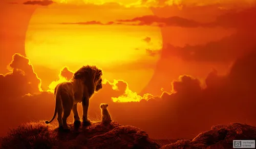 Симба И Нала Обои на телефон лев и обезьяна на холме на фоне заката