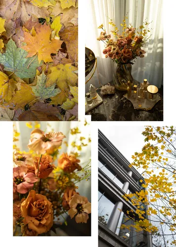 Осень Обои на телефон коллаж из цветов