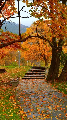 Осень Обои на телефон лестница в парке
