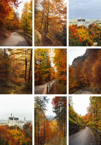 Осень Обои на телефон коллаж из деревьев и дороги