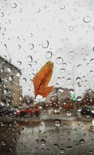 Осень Обои на телефон окно с каплями дождя на нем