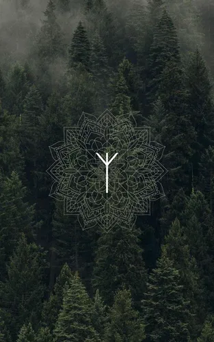 Скандинавские Обои на телефон большое дерево со звездой посередине