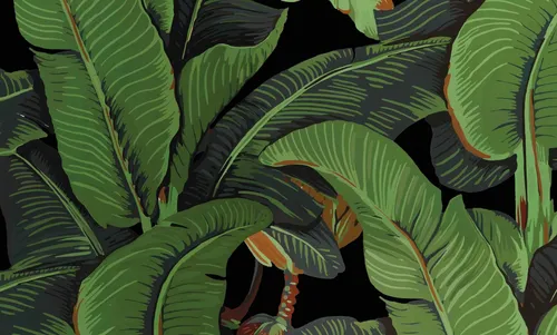 Тропические Листья Обои на телефон бабочка на листе