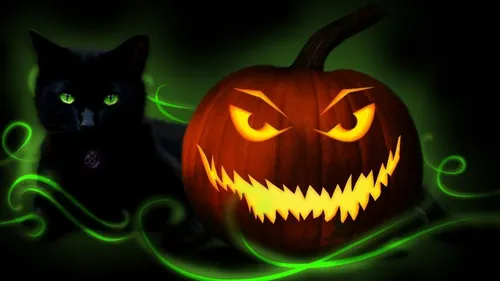 Хэллоуинские Обои на телефон кошка, сидящая рядом с резной тыквой