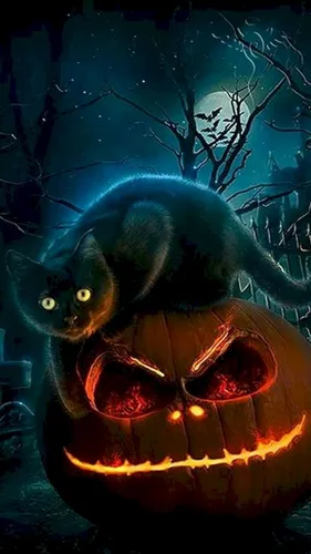 Хэллоуинские Обои на телефон кот в тыкве