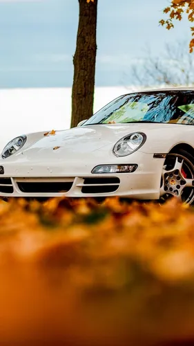 Porsche Обои на телефон белый автомобиль, припаркованный у дерева