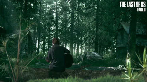 The Last Of Us 2 Обои на телефон мужчина, сидящий в лесу