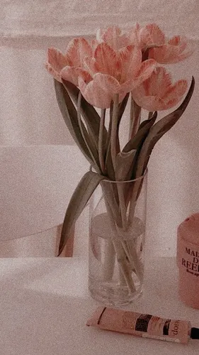 Винтажные Обои на телефон ваза с розовыми цветами