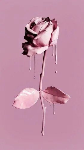 Красивые Модные Обои на телефон розовый цветок со стеблем