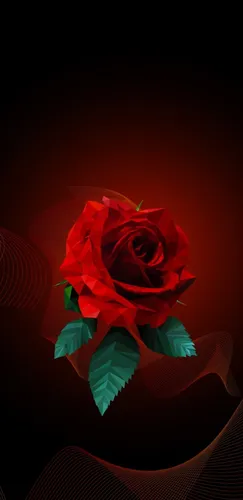 Красно Черные Обои на телефон красная роза в темной комнате