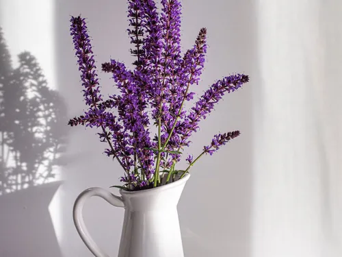 Лаванда Обои на телефон ваза с фиолетовыми цветами