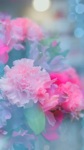 Нежные Цветы Обои на телефон группа розовых цветов