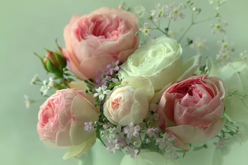 Нежные Цветы Обои на телефон букет розовых роз
