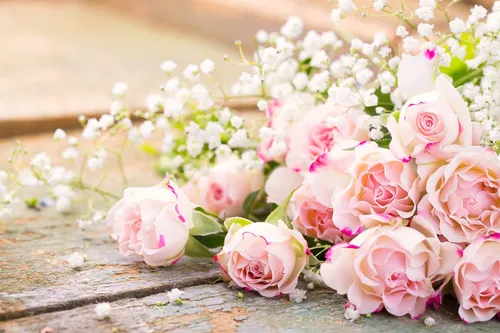 Нежные Цветы Обои на телефон букет из розовых и белых цветов
