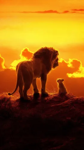 Король Лев Обои на телефон кот и лев на холме