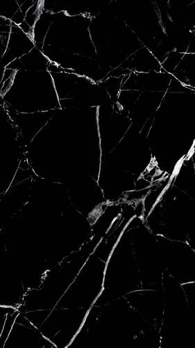 Чёрный Тёмные Обои на телефон черно-белая фотография ветки дерева