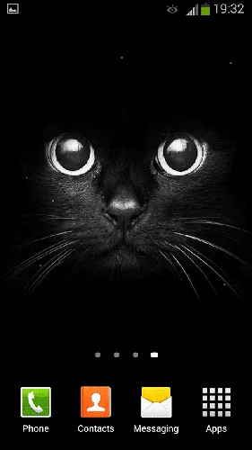Чёрный Тёмные Обои на телефон скриншот кота
