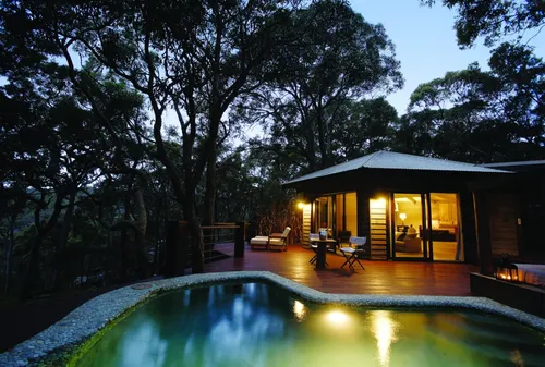 Дом Мечты Обои на телефон дом с бассейном и деревьями вокруг него