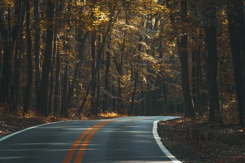 Дорога Обои на телефон дорога с деревьями по обе стороны