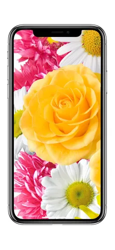Женские Обои на телефон мобильный телефон с изображением цветов