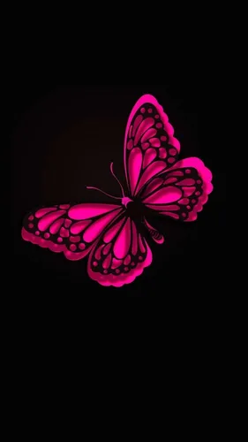 Женские Обои на телефон розово-черная бабочка