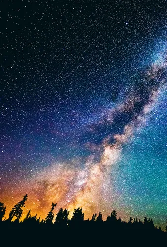 Звезды Обои на телефон звездное ночное небо с деревьями