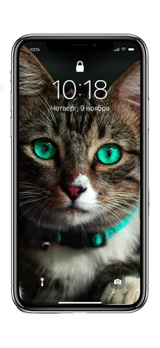 Милые Котики Обои на телефон кот с мобильным телефоном