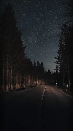 Ночь Обои на телефон дорога с деревьями на обочине