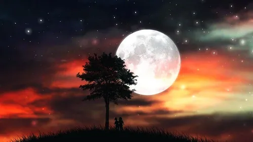 Ночь Обои на телефон полная луна над деревом