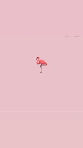 Однотонные С Рисунком Обои на телефон розовый плавающий объект