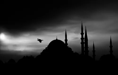Исламские Фото Обои на телефон птица, летящая перед зданием со шпилями