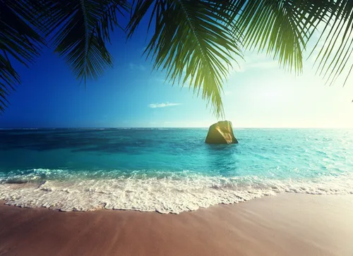 Океан Обои на телефон пляж с пальмой
