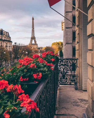 Париж Обои на телефон сад цветов перед высокой башней