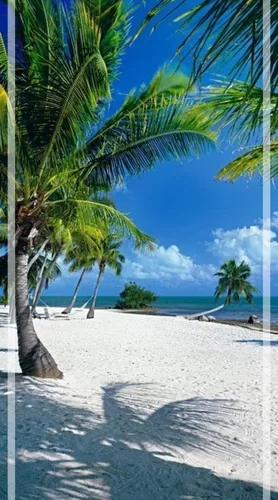 Пляж Обои на телефон пальмы на пляже