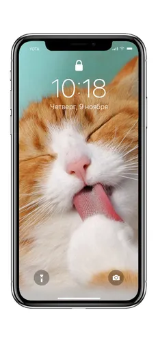 С Кошками Обои на телефон мобильный телефон с кошачьей мордой
