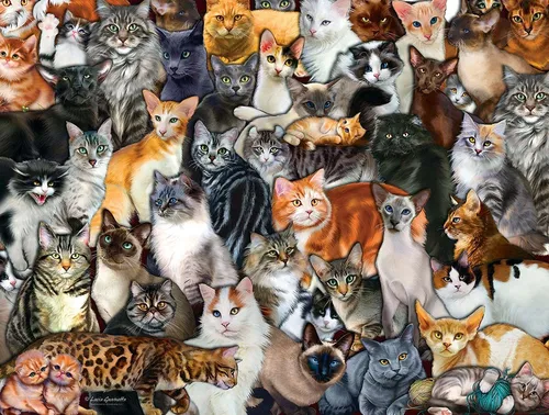 С Кошками Обои на телефон большая группа кошек