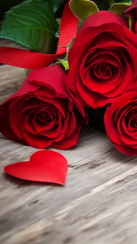 Цветы Розы Обои на телефон группа красных роз