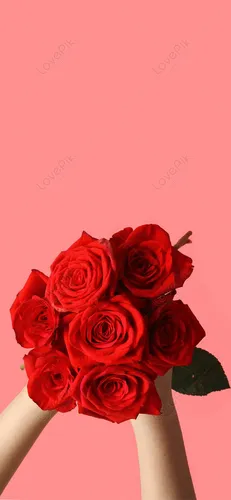 Цветы Розы Обои на телефон рука с букетом красных роз