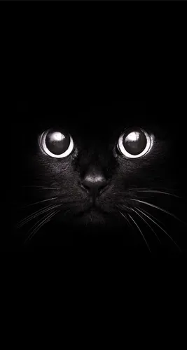 Черные Hd Обои на телефон кошка со светящимися глазами