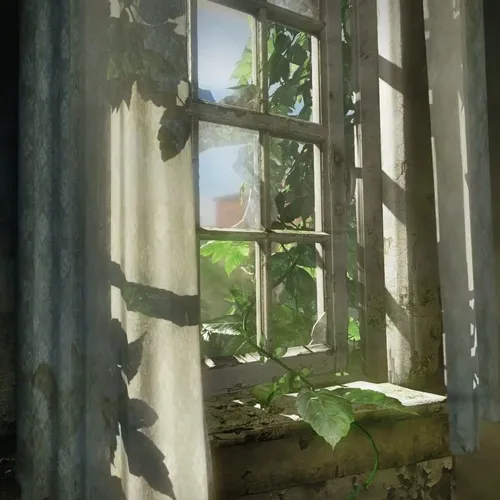 The Last Of Us Обои на телефон окно с растением снаружи
