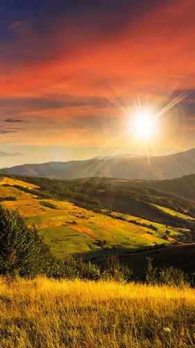 Природа Лето Обои на телефон травянистая долина с ярким солнцем