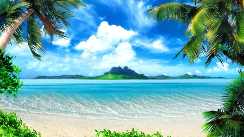 Природа Лето Обои на телефон пляж с пальмами и голубой водой