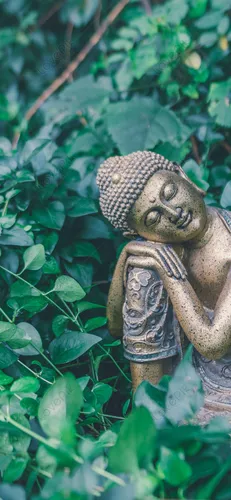 Будда Гаутама, Будда Обои на телефон статуя черепа в окружении растений